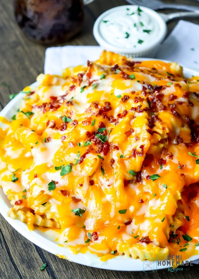Monterey Jack Loaded Fries